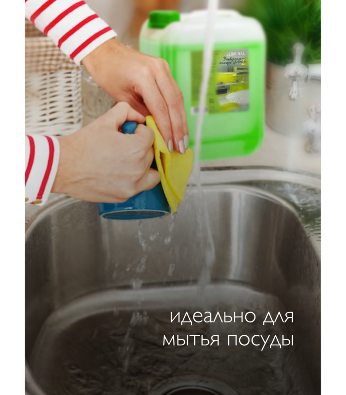 Универсальное Моющее Средство Мятный Фреш, Канистра 5 литров
